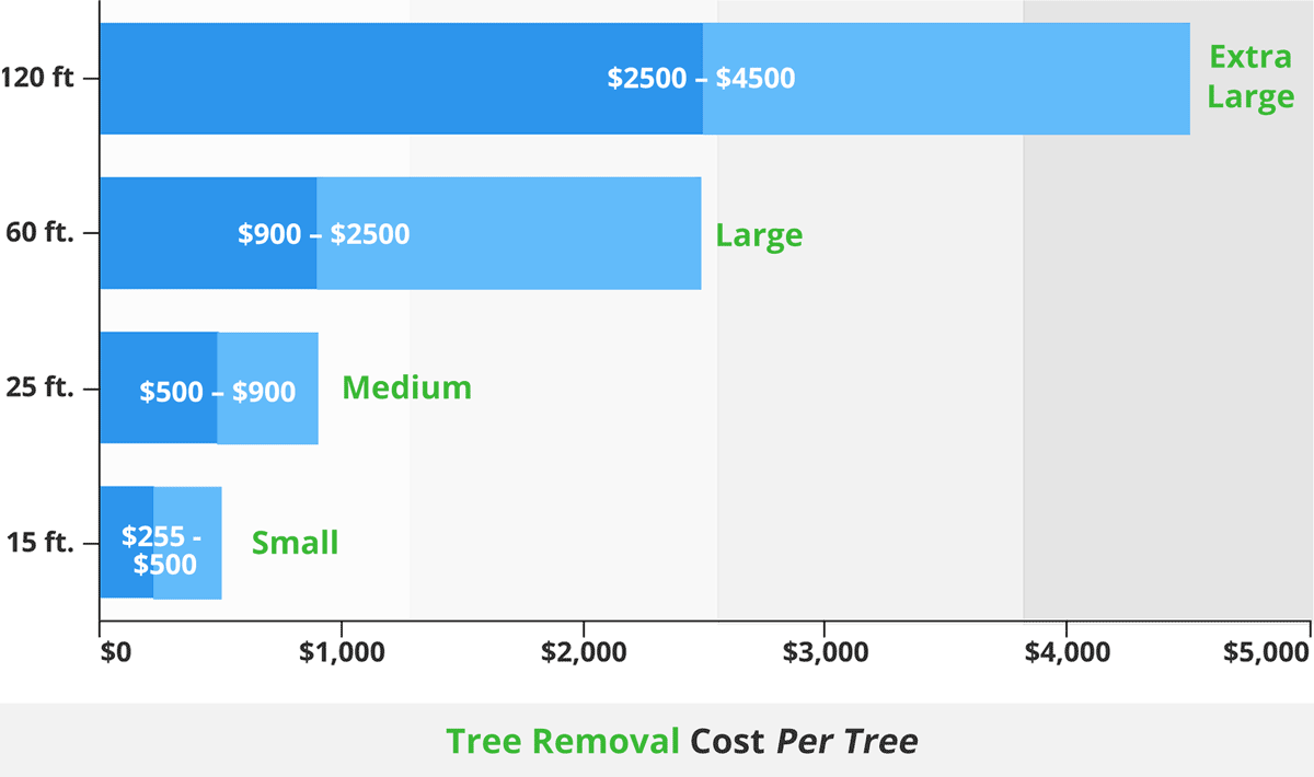 Lumberjack Jake's South Florida Tree Service - Tree Service in Tamarac, FL