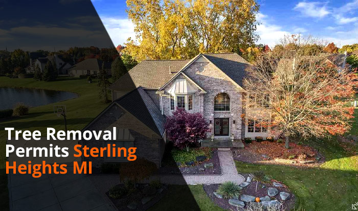 Tree removal permit Sterling Heights v1