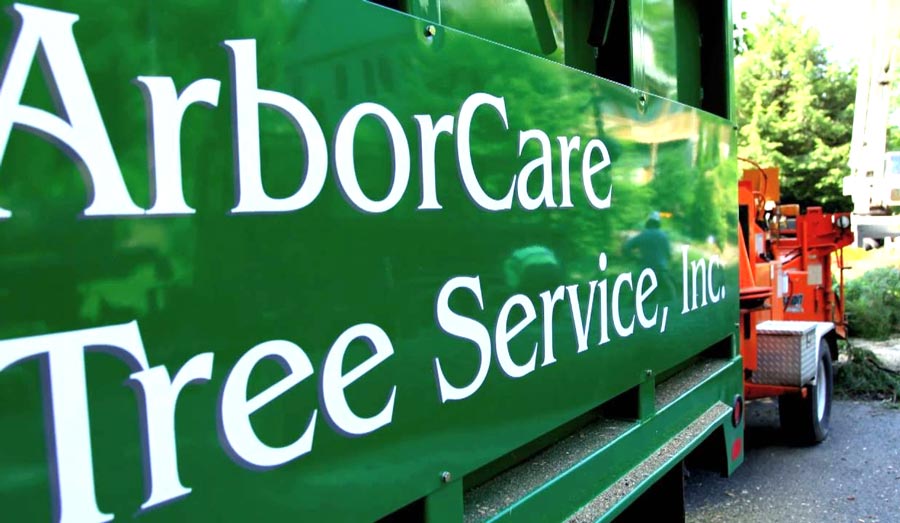 Tree Care Service Near Me