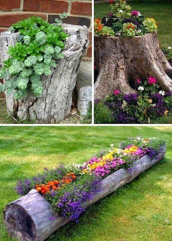 tree stump garden