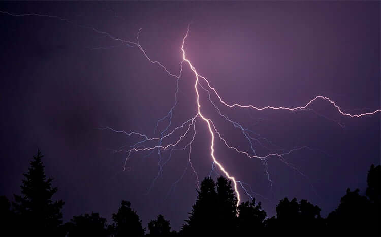 Lightning Protection for Trees