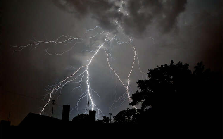 Protecting Trees from Lightning night