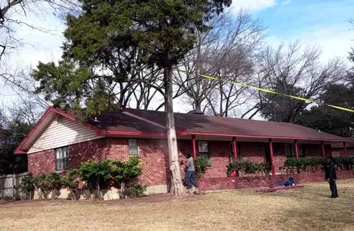 cutting down a tree near a house