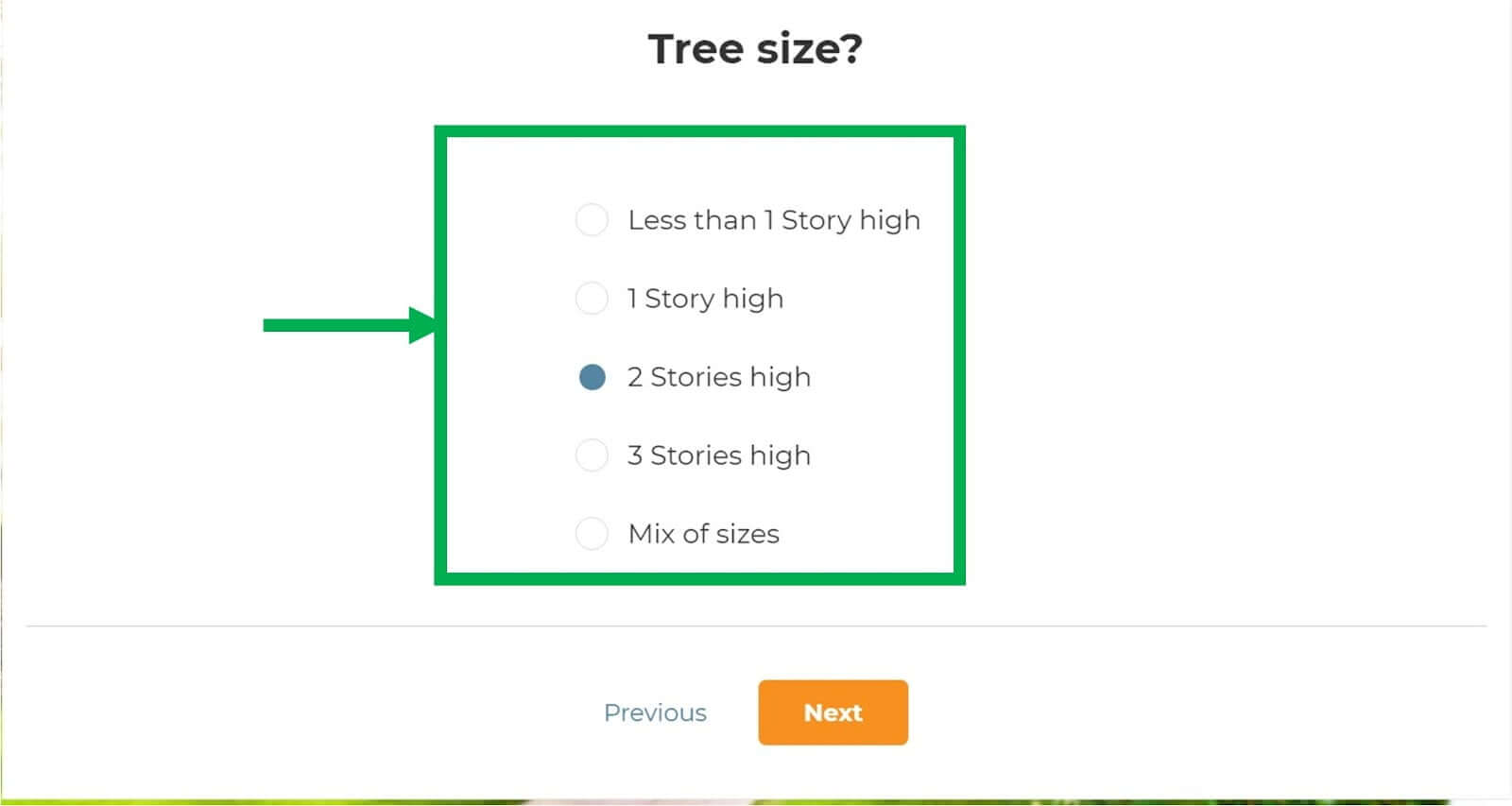 tree size