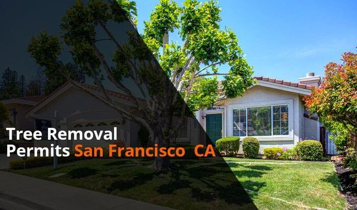 San Francisco Tree Removal Permits and Ordinance