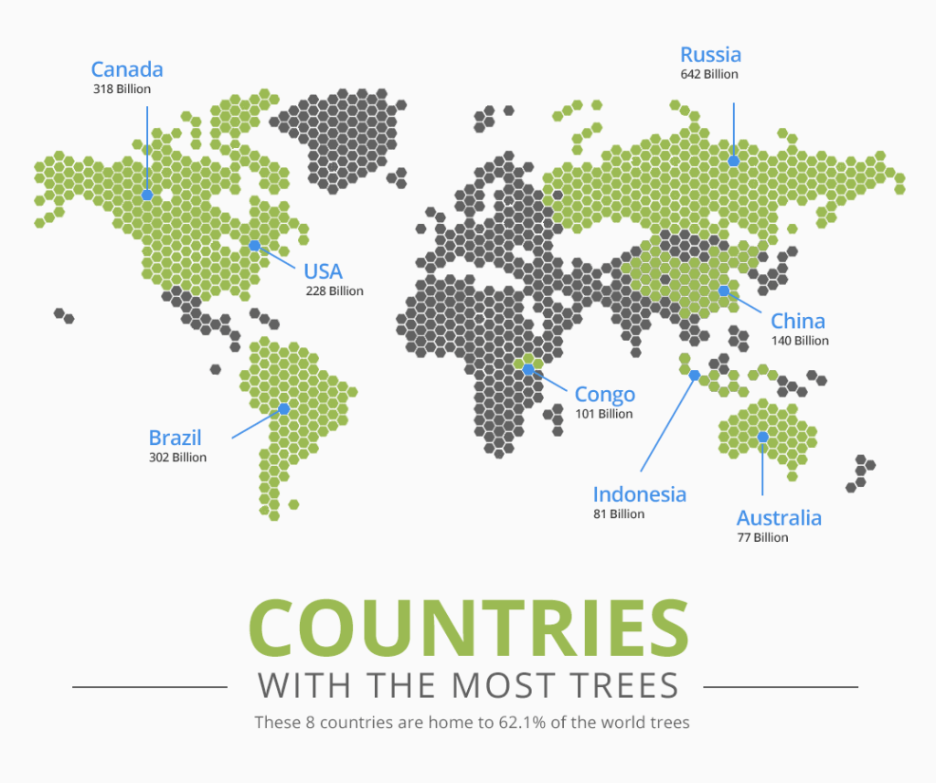 Countries with the most trees infographic