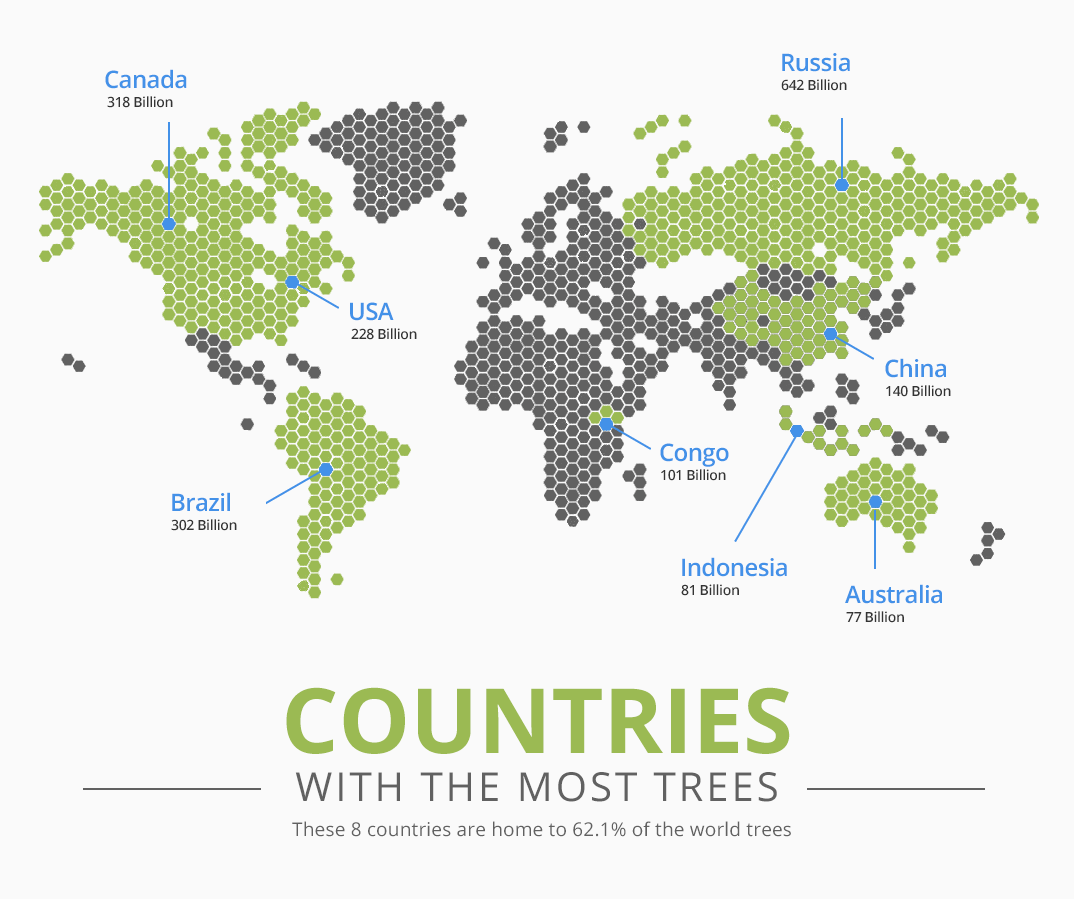 How Many Trees Are in The World? (2024 New data)