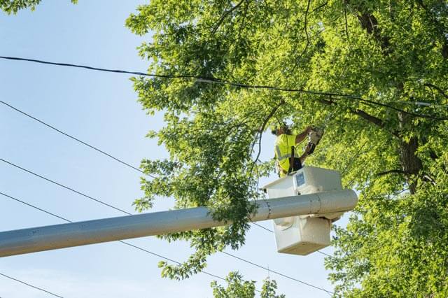 clearing a utility line from a boom bucket