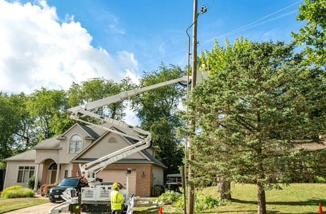 utility line clearance