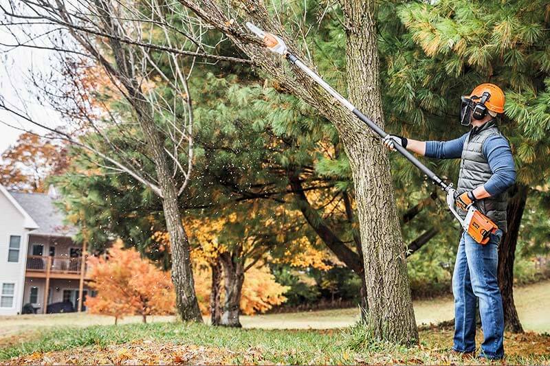 Eliminate any outdoor access by trimming all the trees, shrubs, and limbs at least 4 feet from your house.