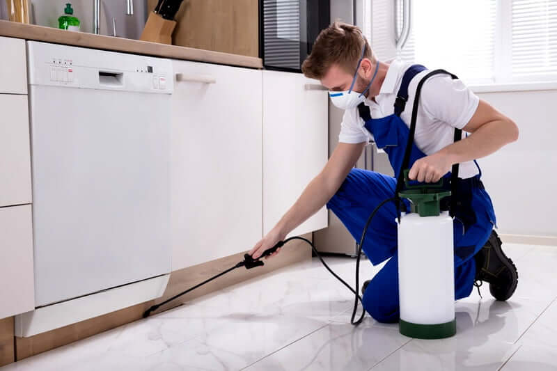 How much does pest control cost