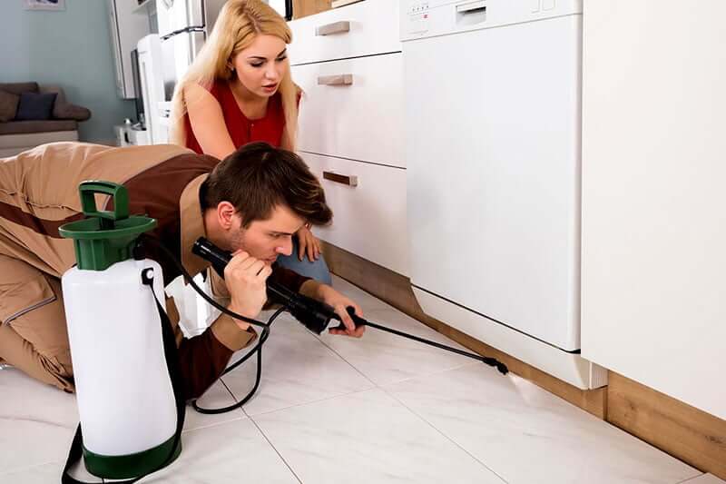 How often do you need pest control services