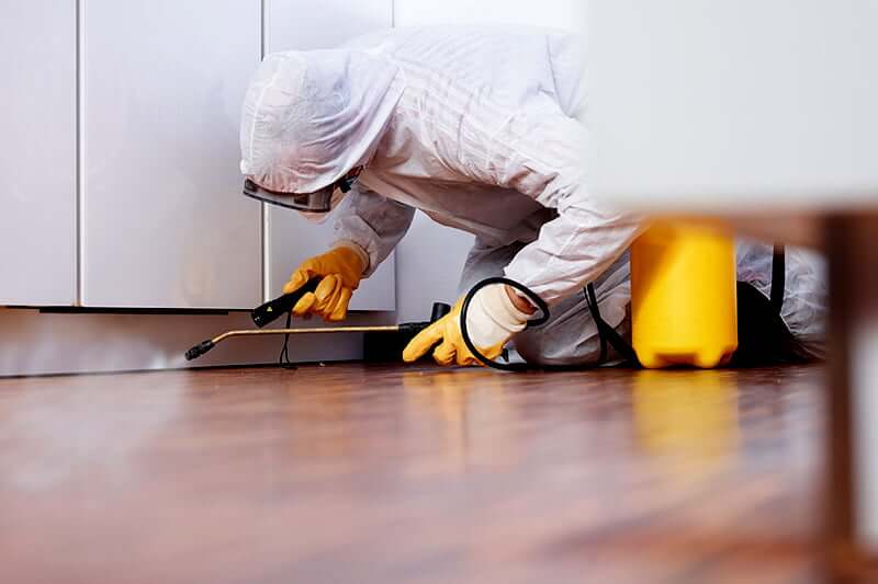 Priorities when hiring a pest control management