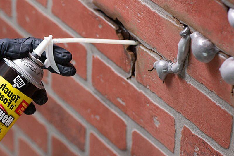 Seal all the entry points in your house using recommended rodent proofing materials. This includes any holes, cracks, or gaps.