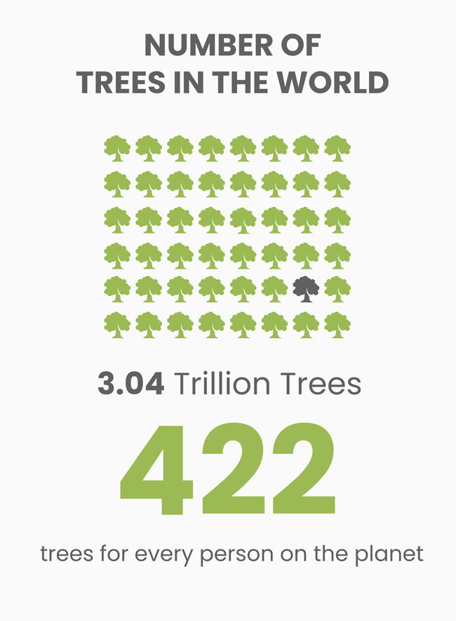 how many trees have been cut down since 2000