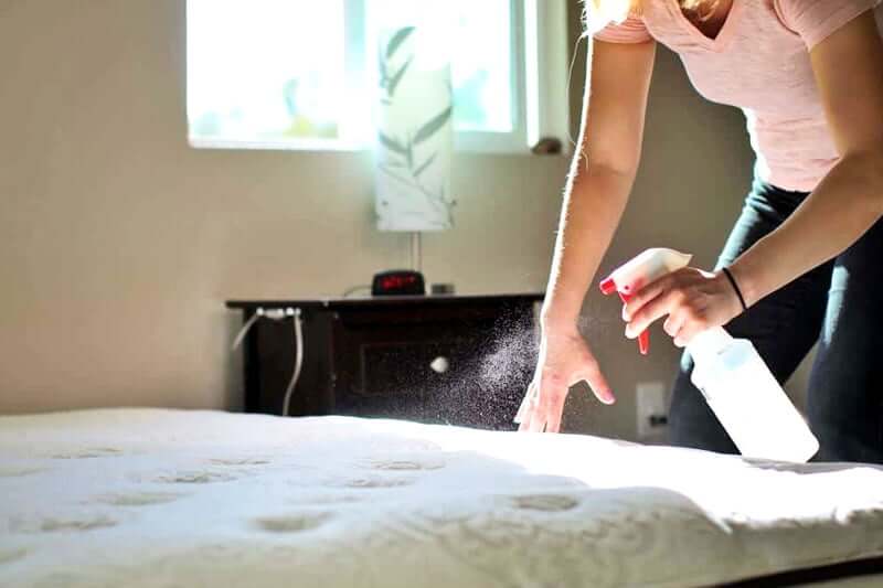 Applying Cleaning Vinegar