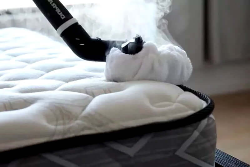 How Do I Get Rid Of Bedbugs From Mattresses