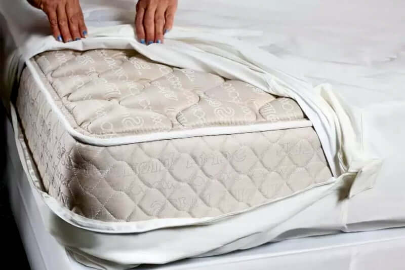 Identify Part Of The Mattress The Bedbugs Are In