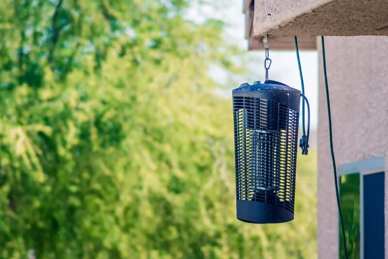 Invest in bug sprays or bug zappers