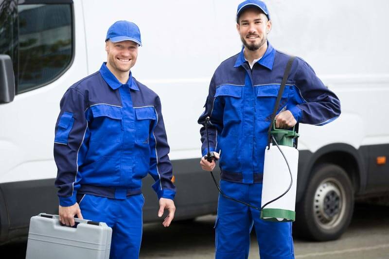 Tips for finding the right pest control service near me