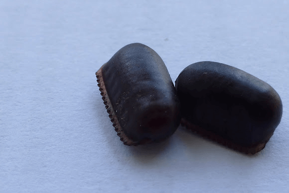 oriental roach