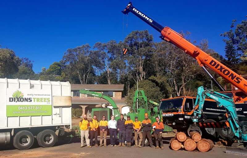 Dixons trees with crew and equipment