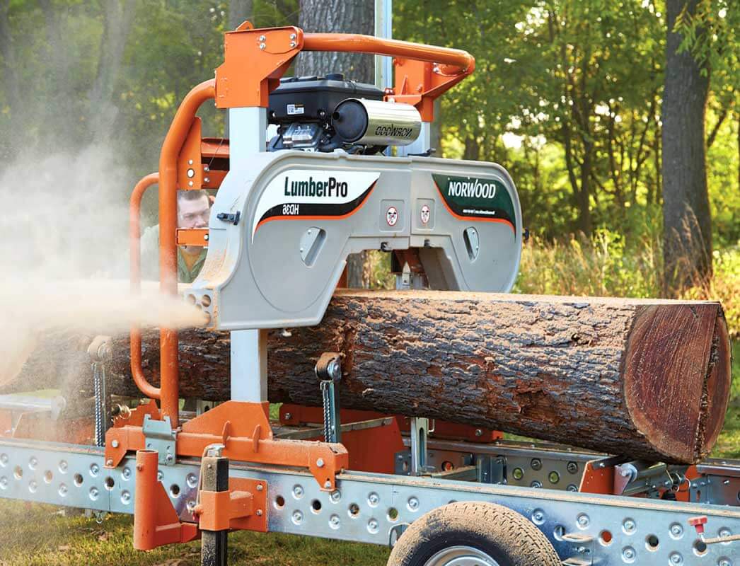 Factors To Consider When Having Trees Removed For Free In Exchange For Wood