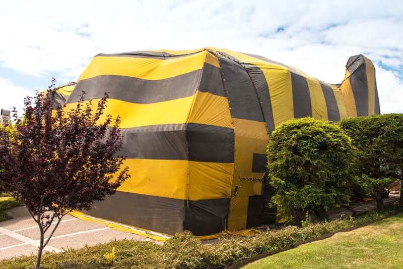 Fumigation