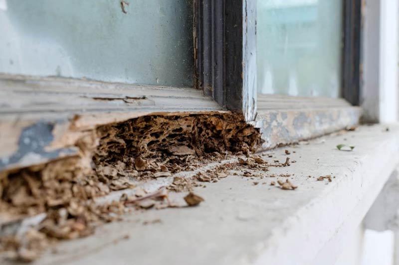 How do swarmers penetrate my home