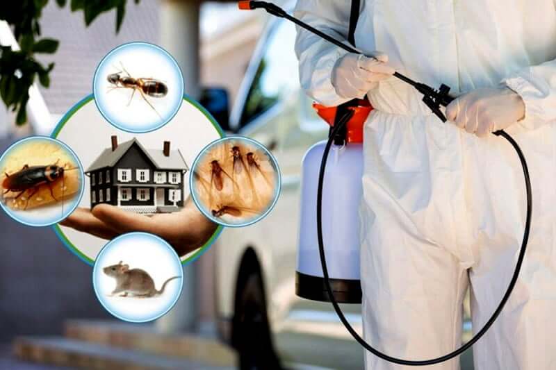 pest control utah