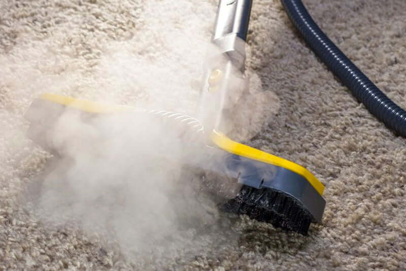 Steam Treatment