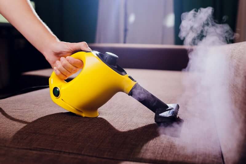 Step 5 Kill the bed bugs