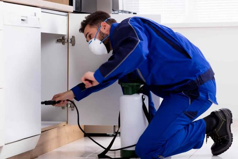 Commercial Pest Control In Salt Lake City