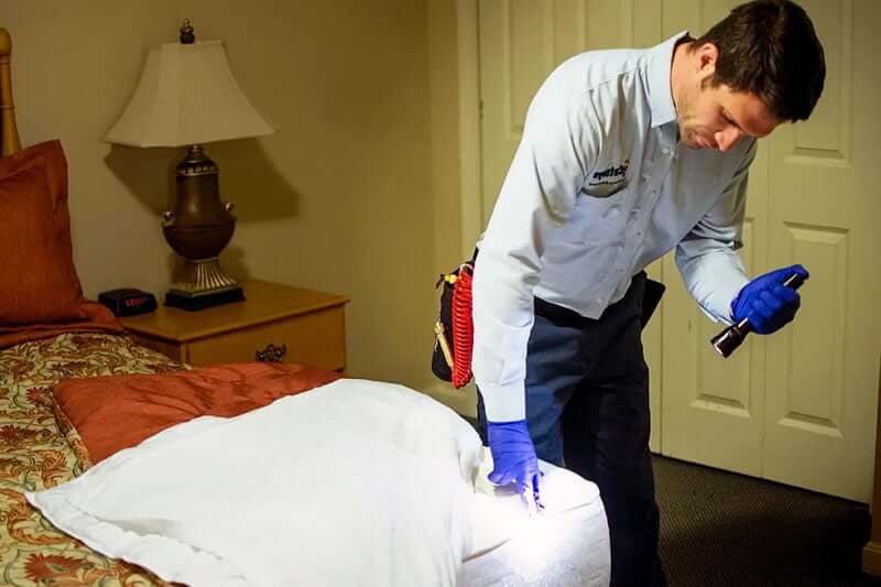 Why is it challenging to remove bed bugs from a home