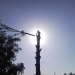 Win Council Tenders for Tree Maintenance – Part II