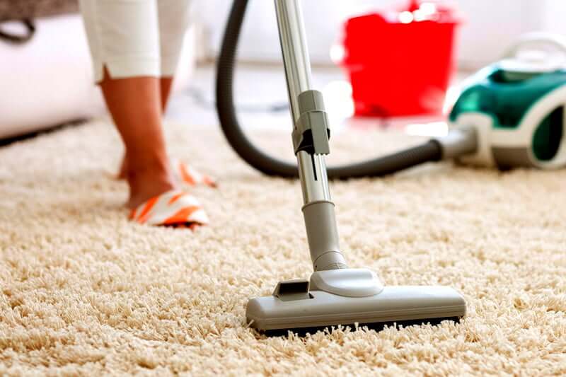 Flea cleaning service