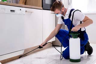 pest control cost thumb