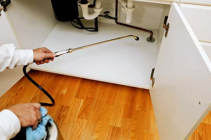Ant extermination cost by company
