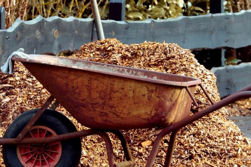 Can you bring termites to your home from store bought mulch