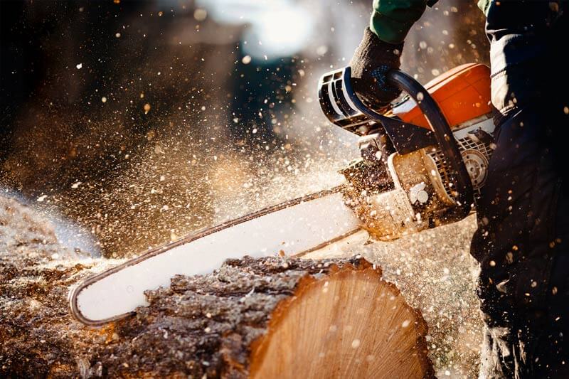 Cheapest Tree Removal Services 13 ways to save money