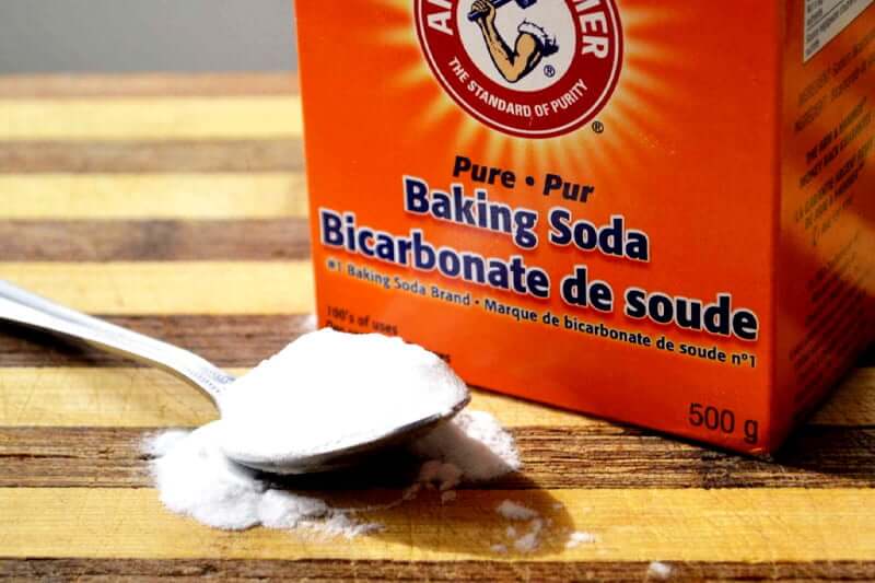 Does baking soda kill bed bugs