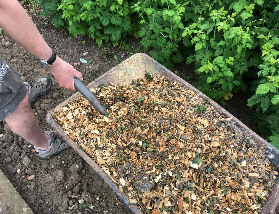 Does mulch attract termites