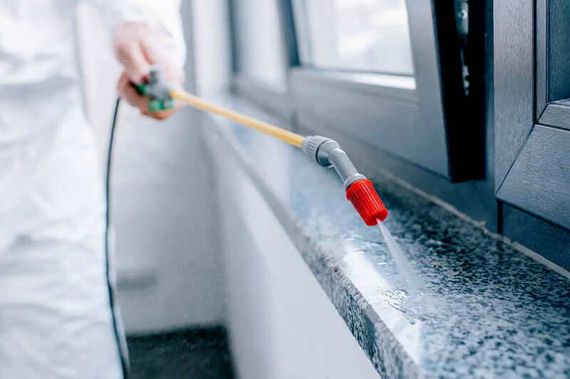 How much does ant pest control cost