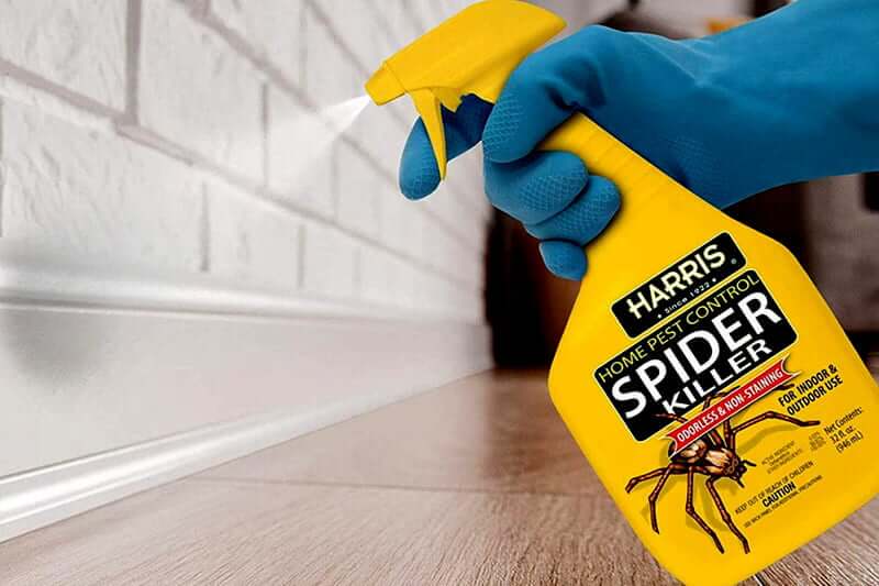Spider sprays