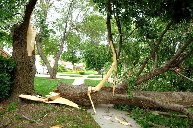 Storm Damage