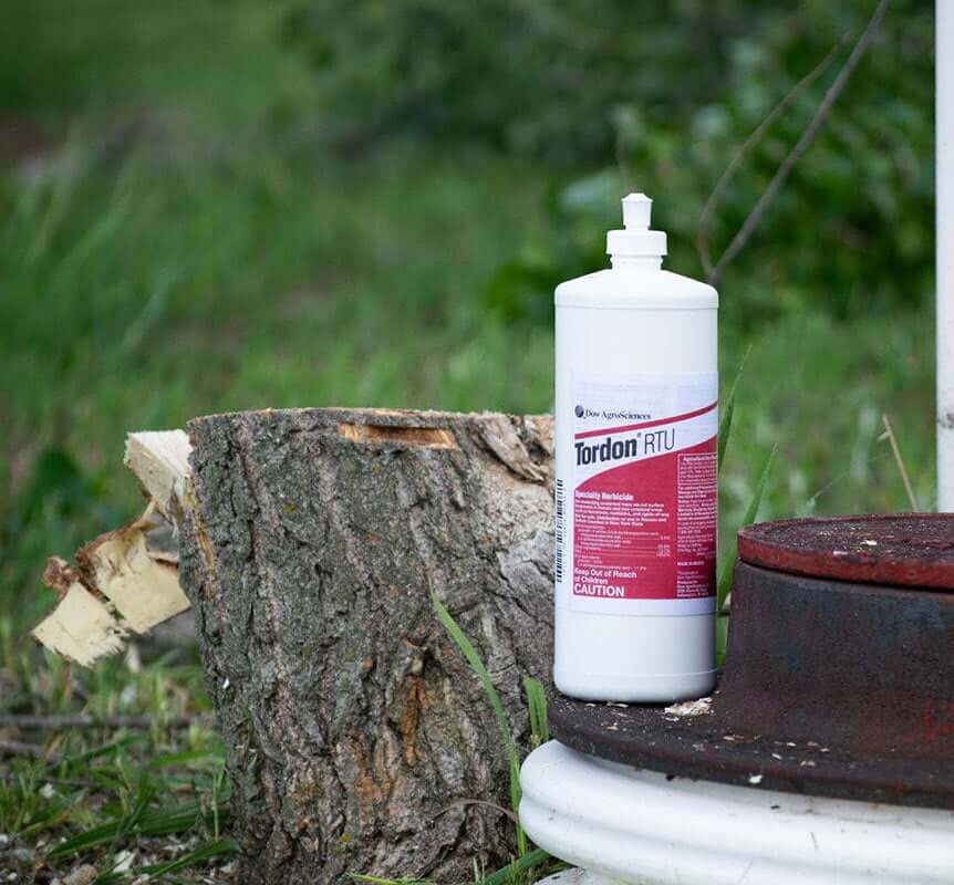 Tordon Herbicide stump kill secretly
