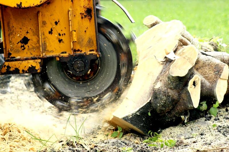 What is stump grinding
