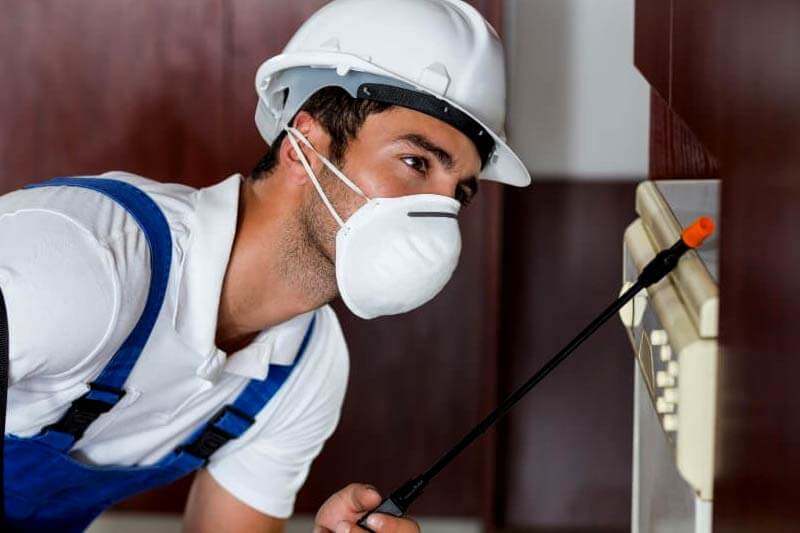 Ridding your property of termites