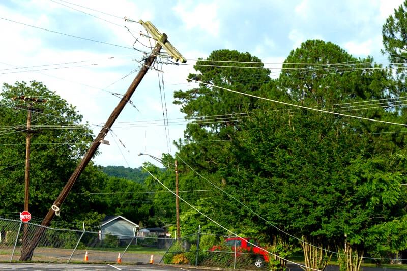 What To Do if a Tree Falls on Your Powerlines