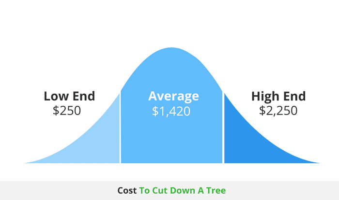 average cost to cut down a tree infographic